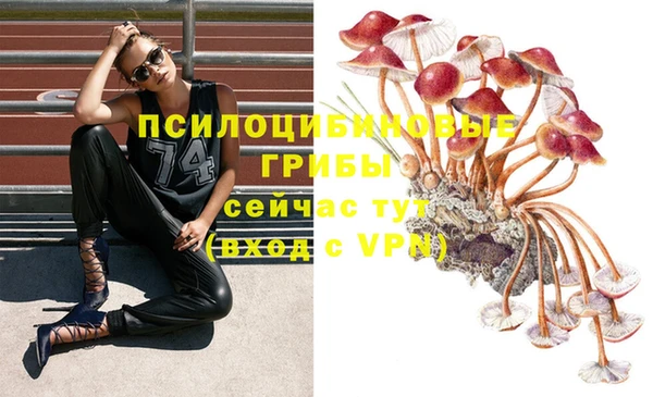 сатива Алексеевка