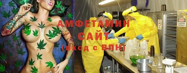 сатива Алексеевка