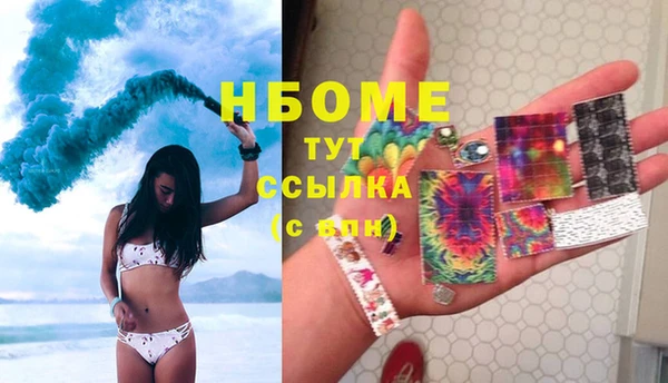 сатива Алексеевка