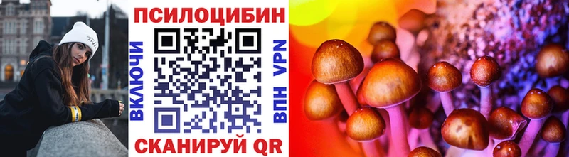 площадка телеграм Всеволожск Псилоцибиновые грибы GOLDEN TEACHER